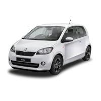 Citigo