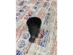 5K6955435 | Arka Silecek Kol Kapağı | VW Caddy, E-Golf - Seat Alhambra, Ateca - Skoda Citigo, Fabia - 3