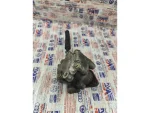 8D0145156L | Hidrolik Direksiyon Pompası - 3