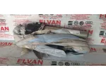 3C0880742B | VW Passat Sağ Tavan Hava Yastığı - 1