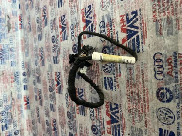 3C8971558AL | Sağ Ön Kapı Kablo Tesisatı VAG