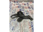 03L103390F | Motor Asma Braketi | Audi A4, A5, A6, Q5 - 2