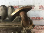 5F0035871 | Multimedya Teyp | Seat Ibiza, Leon, Toledo - 2