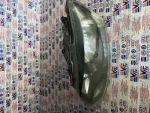 6R1941015E | VW Polo Sol Far - 2