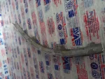3C8807460A | VW Passat Arka Tampon Sağ Köşe Çıtası - 3