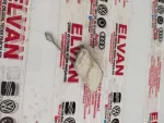 8V3807241 | Audi A3 Ön Tampon Çeki Demiri Kapağı - 3