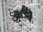 03L971627E | Motor Kablo Tesisatı | VW Jetta, Passat - 1
