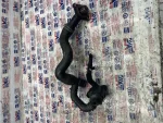 03L121111B | Termostat - 3