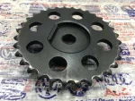 021109569 | Eksantrik Zincir Dişlisi | VW Eos, Golf - Audi A3, TT - Seat Alhambra, Leon - 2