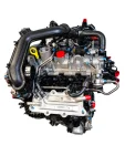 Karoq 1.0 TSI DKR Benzinli Sıfır Sandık Motor - 1
