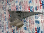 8P3837176J | Audi A3 İç Dikiz Aynası Kapak Çıtası - 1