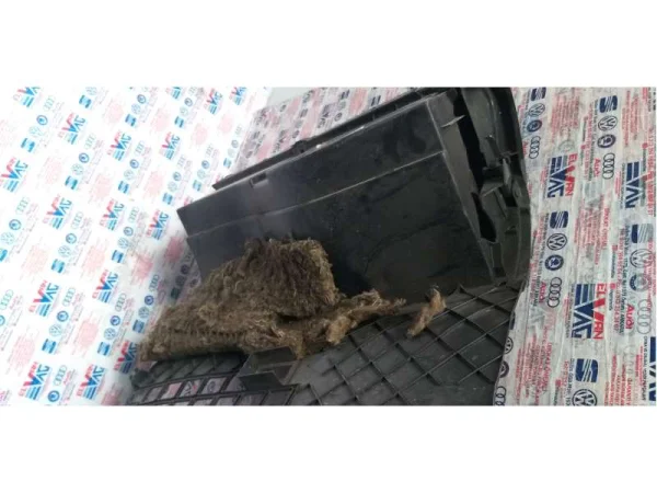 8D1857035 | Audi A4 Torpido Gözü Kapağı VAG