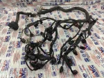 8K0973702D | VW Jetta Soket - 1
