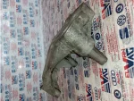 06F199207D | Audi A3 Motor Takozu - 2
