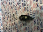3B0035411F | Sağ Ön Kapı Tweeter - 1