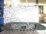6F9853667H | Seat Arona Ön Tampon Izgarası - 2