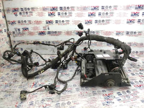 059907309J | Motor Beyni VAG