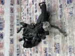 6Q0971839B | Kablo Kanalı Kapağı | VW Golf, Polo - Audi A1, A3 - Seat Ibiza - 3