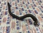 2H0422889D | VW Amarok Hidrolik Direksiyon Yağ Deposu Hortumu - 2