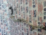 2H6131582F | VW Amarok EGR Borusu - 3
