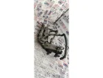 2N0121079BL | VW Crafter Soğutma Suyu Boru Braketi - 1