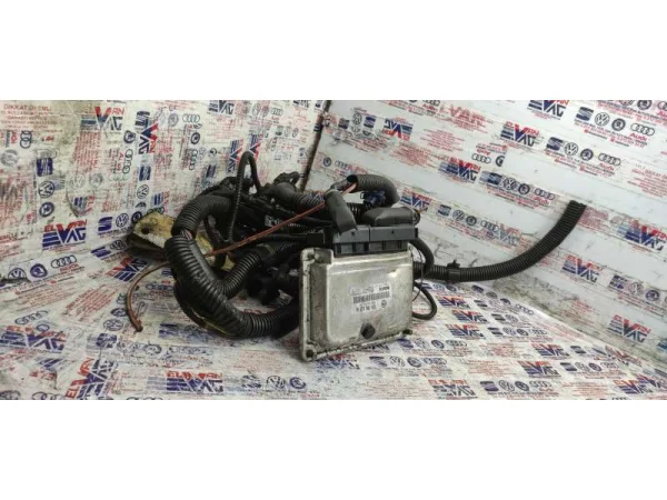 074906018AK | VW Transporter Motor Beyni VAG