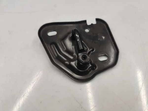 4G0823186 | Kaput Kilit Kancası | Audi A1, A6, A7, Q3, RS Q3 VAG