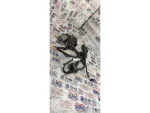 5Q0959811D | Arka Sol Cam Motoru | VW Polo - Audi A1, A3, Q2 - Seat Arona, Ibiza - 1