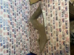 5P0867288D | Seat Altea Bagaj Pandizot Klipsi - 2