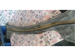 6J1853185A | Seat Ibiza Ön Cam Izgarası - 3