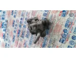 7L6422154A | VW Touareg Hidrolik Direksiyon Pompası - 2