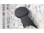 6J0864279B | Seat Ibiza Kol Dayama Kaplaması - 1