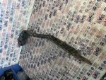 3AE807393A | VW Passat Arka Sol Tampon Braketi - 2