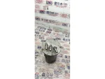 5Q0127399AA | Mazot Filtre Kutusu - 3