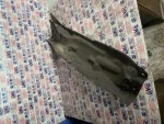 6J0805275C | Seat Ibiza Ön Panel Sacı - 2