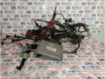 8E0907559H | Motor Beyni - 2