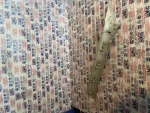 1M0867458 | Sağ Ön Direk Kaplaması - 2