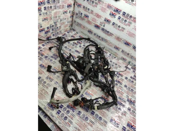 022971824J | Motor Tesisatı VAG