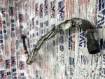 059131055L | Vakum Hortumu | Audi A5, A6, A8, Q5, Q7 - 2