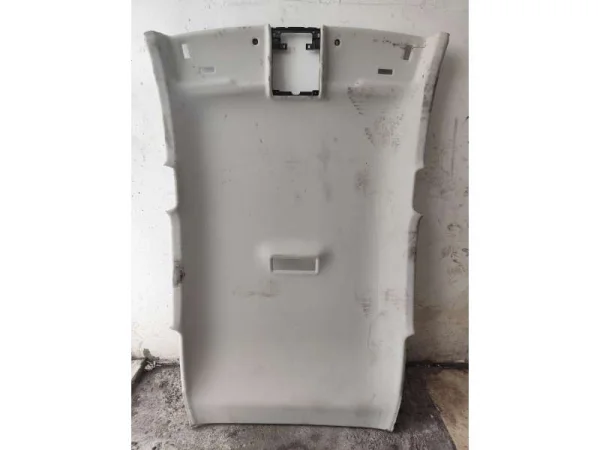 2G4867501 | VW Polo Tavan Döşemesi VAG