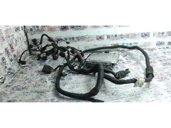 03C906016A | VW Golf Motor Beyni VAG