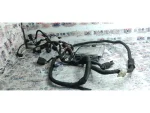 03C906016A | VW Golf Motor Beyni - 1