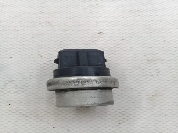 251919501A | Hararet Müşürü | VW Jetta, Passat, Polo, Scirocco VAG