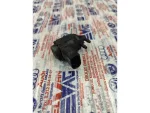 1J0906283C | EGR Selenoid Valfi | VW Bora, Golf, Jetta - Audi A3, A4 - Seat Alhambra - 2