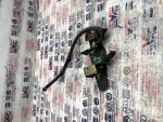 026906283J | Vakum Selenoid Valfi | VW Bora, Golf, Jetta - Audi 100 Serisi, 200 Serisi - Seat Toledo - 2