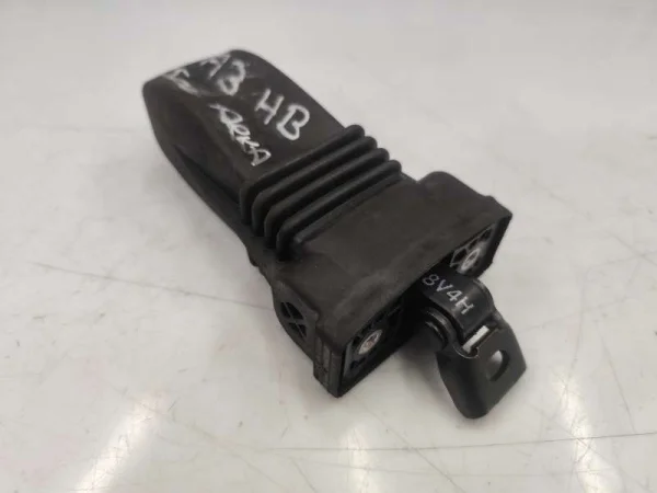 8V4839267 | Arka Kapı Gergisi | Audi A3, RS 3 VAG